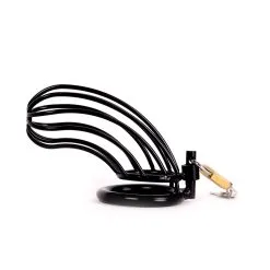 Kiotos Steel Kuishuidskooi Bird Cage Metaal Met Hangslot - Zwart