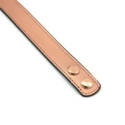 Liebe Seele - Rose Gold Memory Exclusieve Smalle Collar Met Tepelklemmen - Rosé Goud -Sex Toys winkel Liebe Seele Rose Gold Memory Exclusieve smalle collar met tepelklemmen rose goud 6