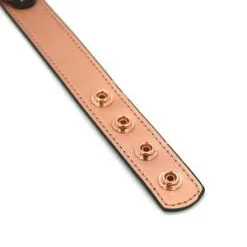 Liebe Seele - Rose Gold Memory Exclusieve Smalle Collar Met Tepelklemmen - Rosé Goud -Sex Toys winkel Liebe Seele Rose Gold Memory Exclusieve smalle collar met tepelklemmen rose goud 7