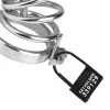 EDC Master Series - Keyholder Kuisheidskooi Hangslotjes - 10 Stuks