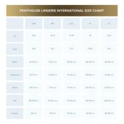 Penthouse - Kimono Met String HYPNOTIC Power - Zwart -Sex Toys winkel Penthouse Kimono Met String HYPNOTIC POWER zwart 3