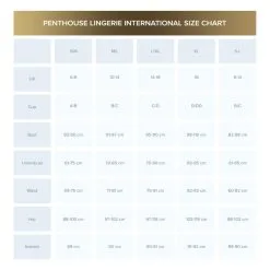 Penthouse - Love On Fire Glitter Jurkje Met String - Zwart -Sex Toys winkel Penthouse Love On Fire Glitter Jurkje Met String Zwart 3