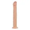 Real Fantasy SHAWN Realistische Dildo Met Zuignap - 31 Cm
