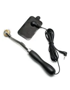 Rimba Electro Play Rimba Electro Sex - Pinwheel En Plak Electrode -Sex Toys winkel Rimba Electro Sex Pinwheel en Plak Electrode 3